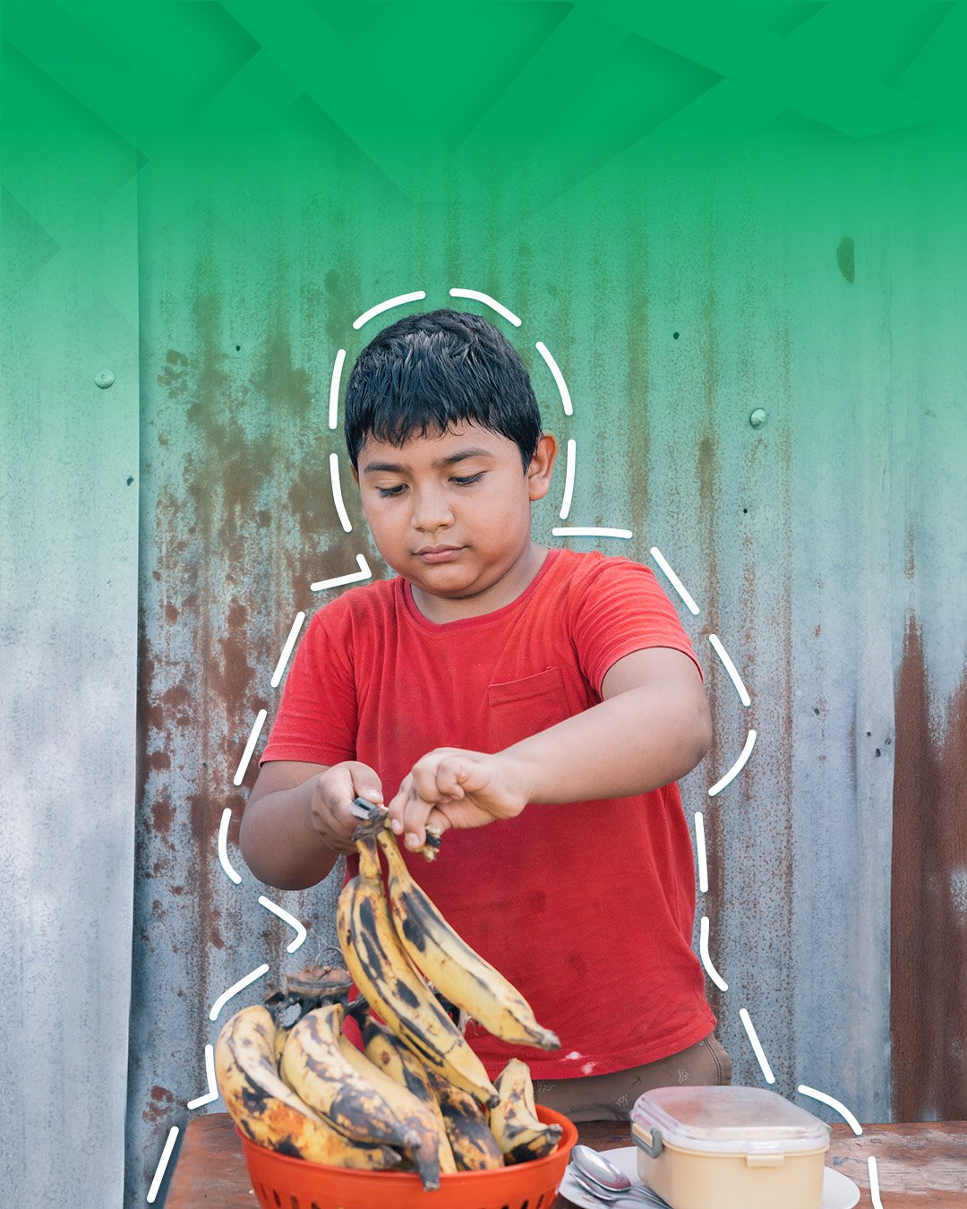 Campaña anterior de Apapacho